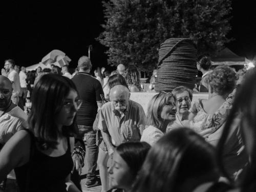 wlab davide vichi-364